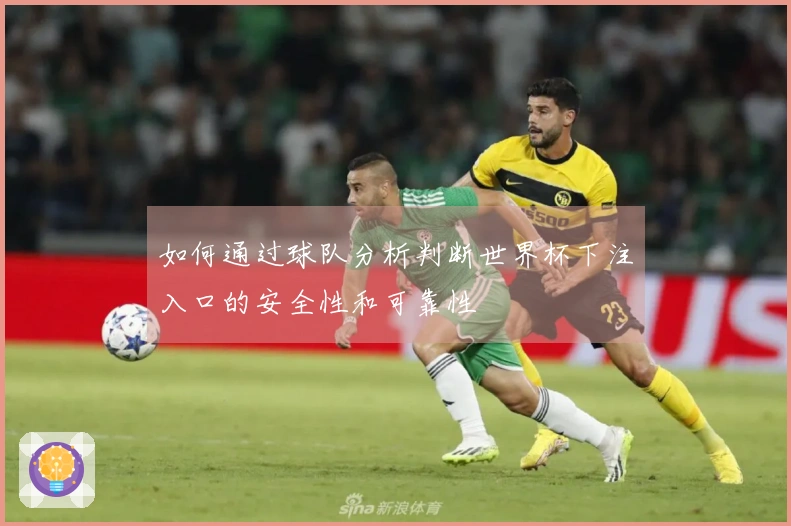 如何通过球队分析判断世界杯下注入口的安全性和可靠性