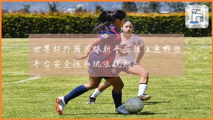 世界杯外围买球新手应该注意哪些平台安全性和玩法规则？